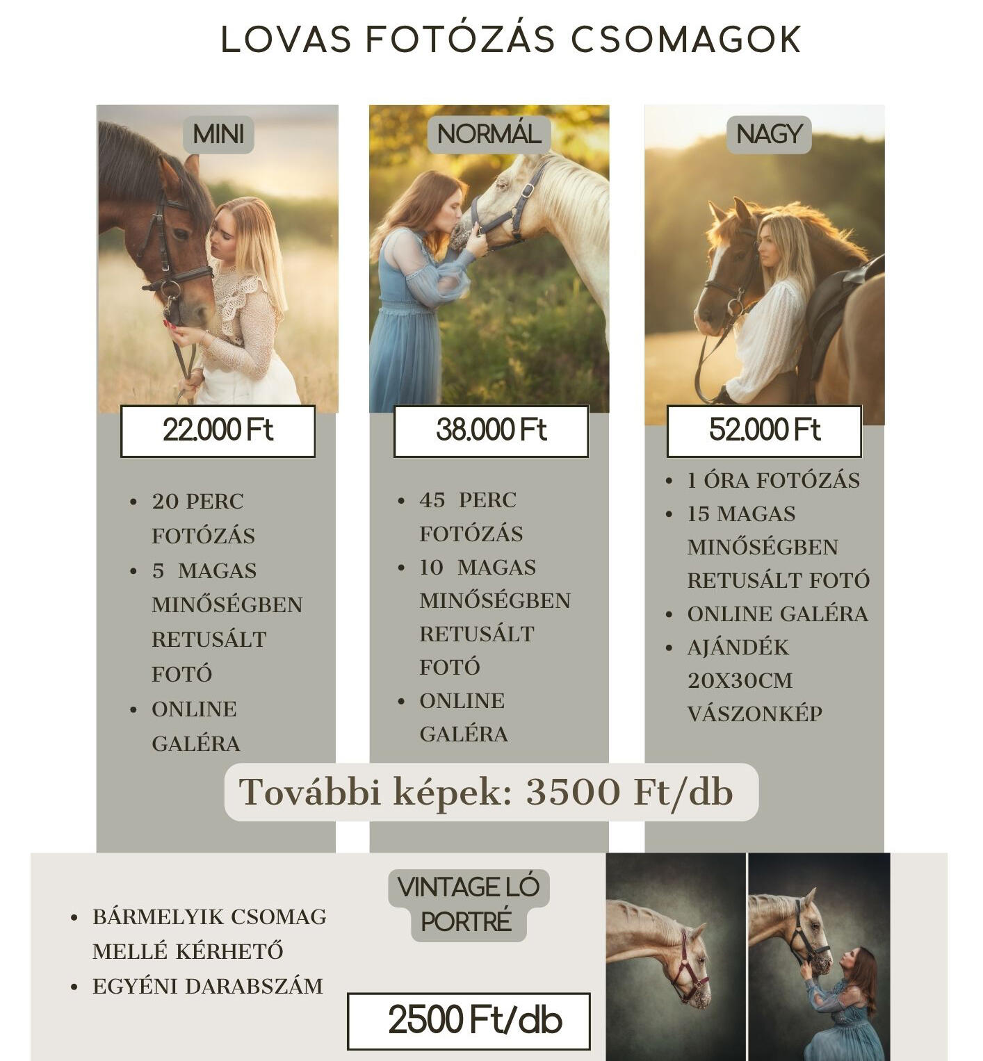 Lovas portré fotózás