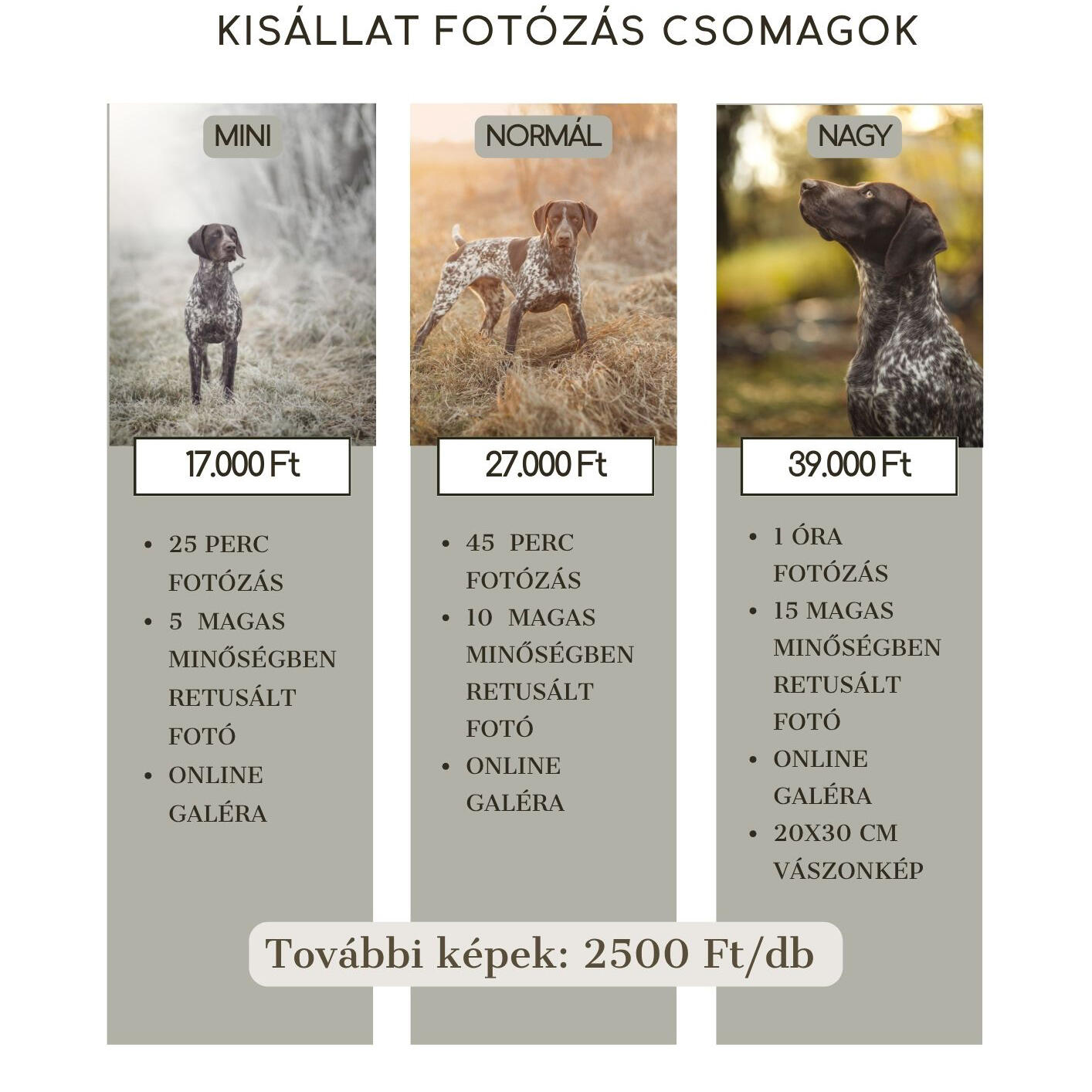Kisállat fotózás